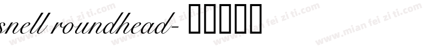 snell roundhead字体转换